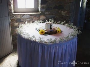 Baby's Breath Wedding at Castle Farms