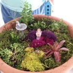 Fairy Garden planter