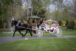 Abraham's Carriage Service | Paxton Photography