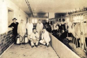Dairy Workers with tile walls