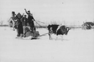 Crew on Ice Sled with Hay