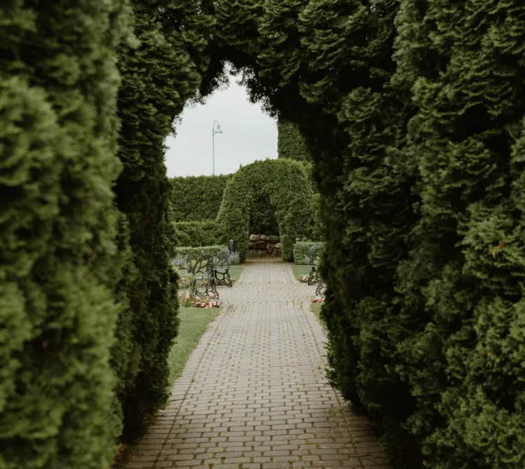 A tunnel formed by green hedges over a stone pathway at Castle Farms.