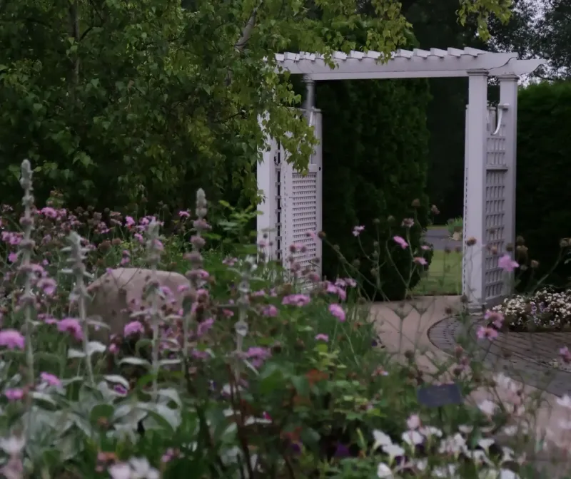 Bushes with pink flowers in front of a white garden archway at Castle Farms.