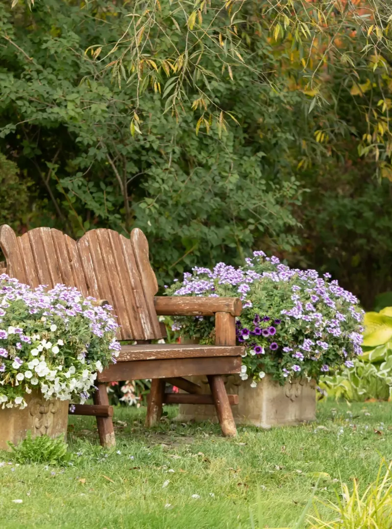 A wooden bench surrounded by flowers on the grounds of Castle Farms.